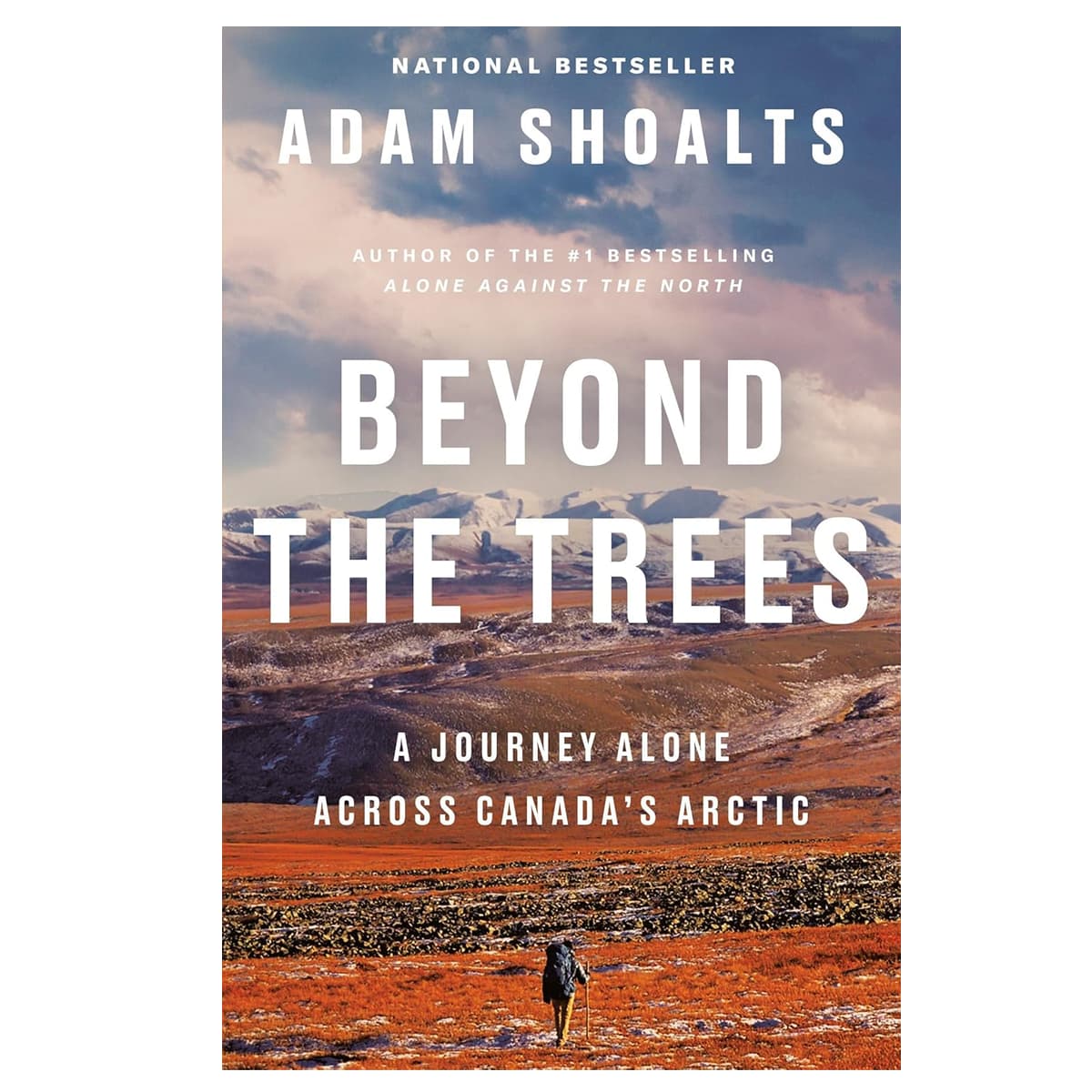 Beyond The Trees