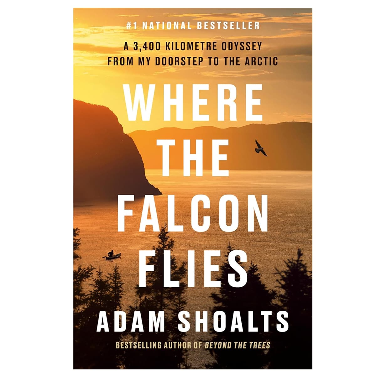 Where The Falcon Flies