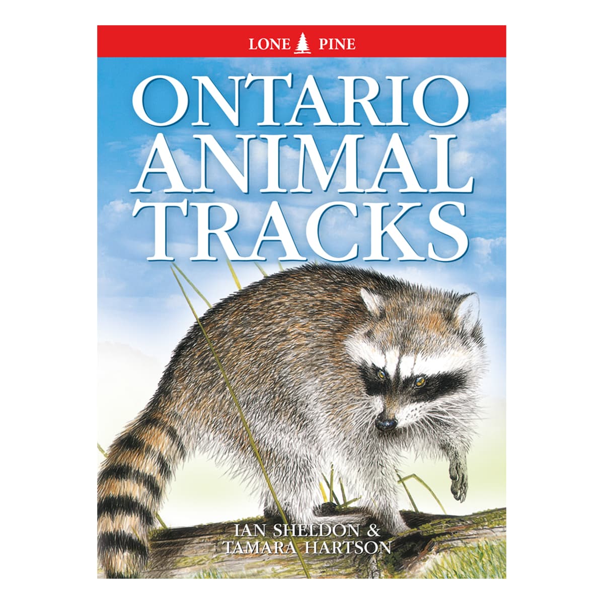 Ontario Animal Tracks