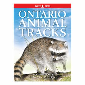 Ontario Animal Tracks