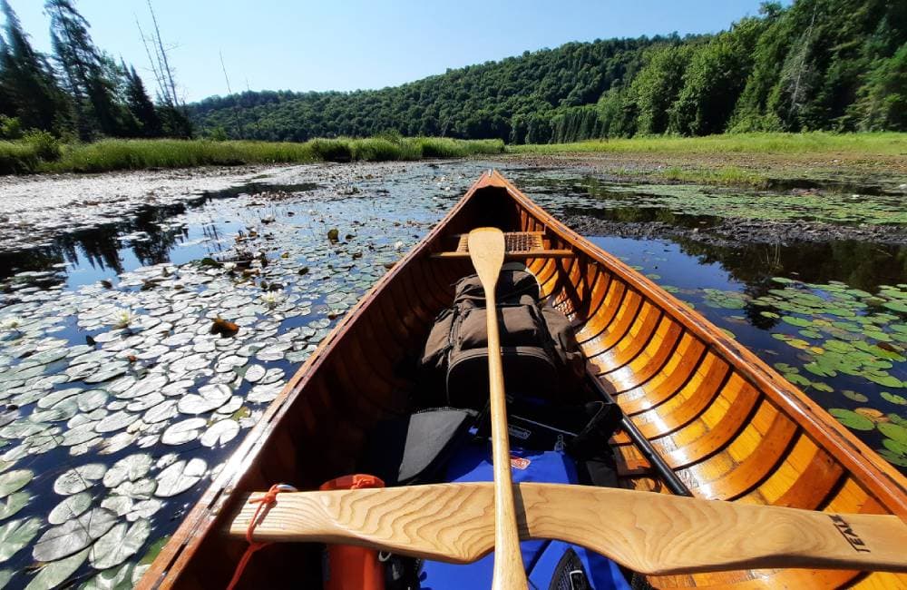 Shot looking out into the lake from inside a canoe.