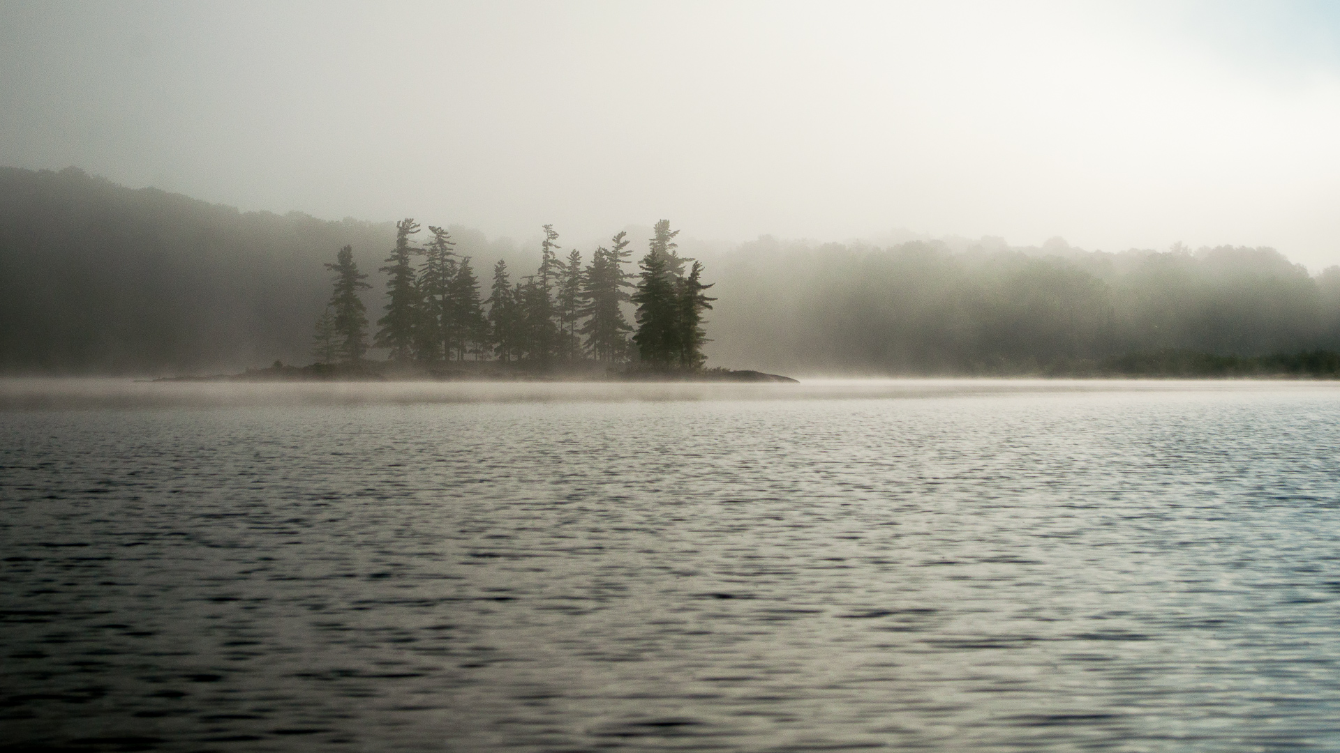 Misty Lake