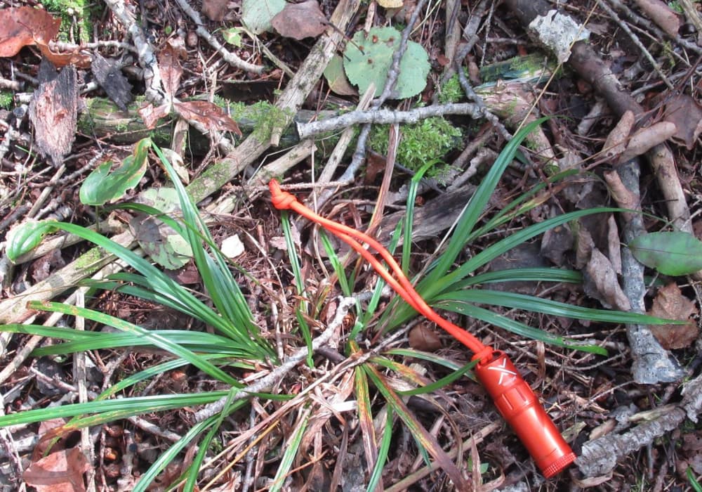 Exotac Titanlight on ground in a forest