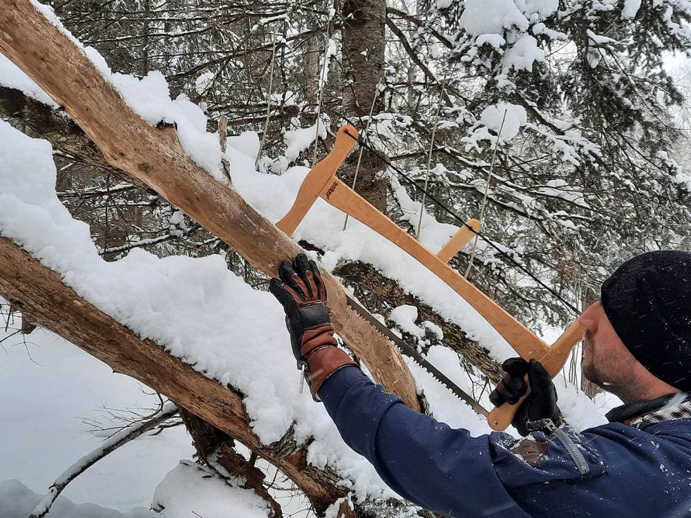 Man sawing a tree during winter using Hestra Fält Guide Gloves