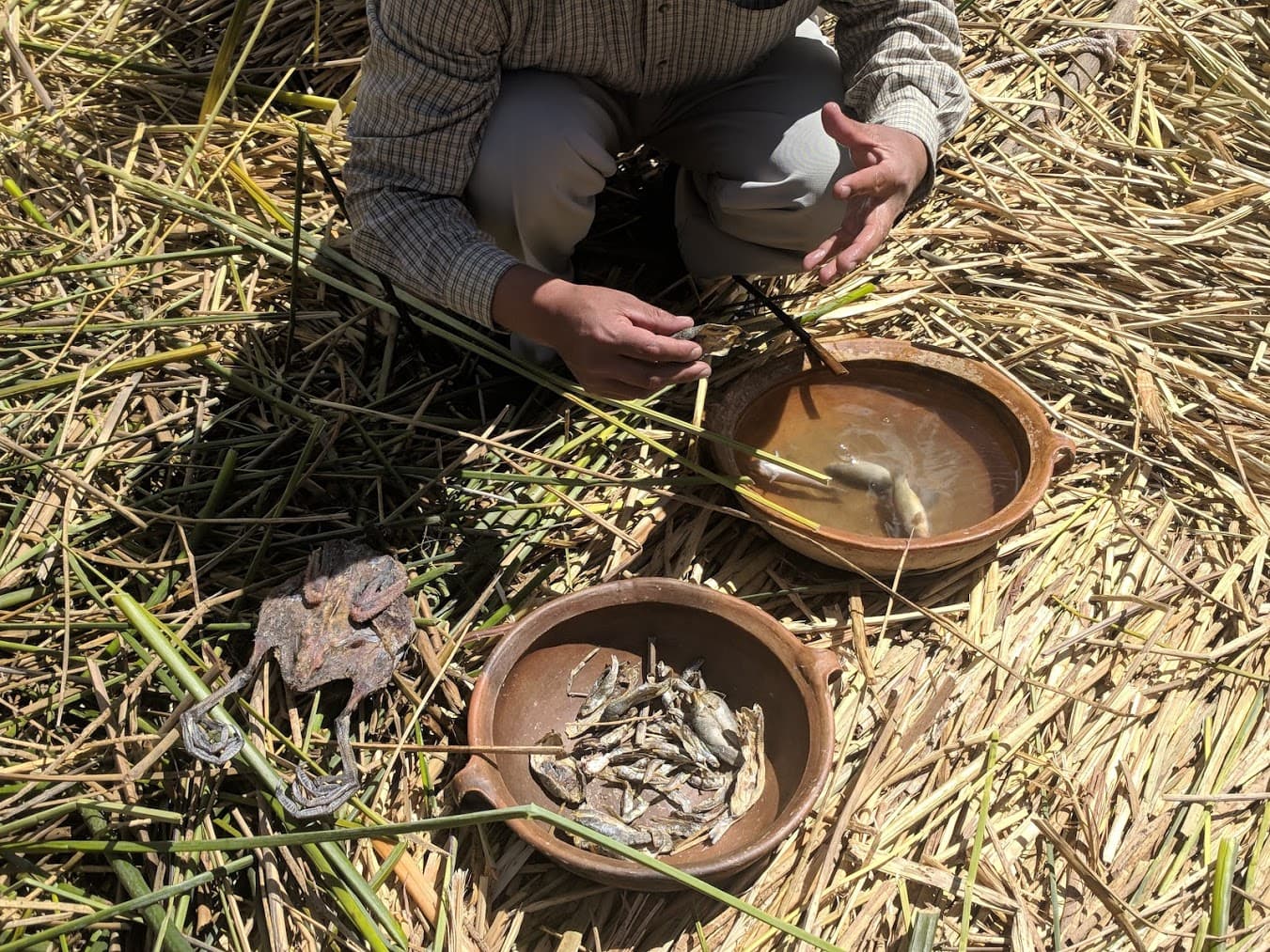 Food being prepared on Floating Reed Islands