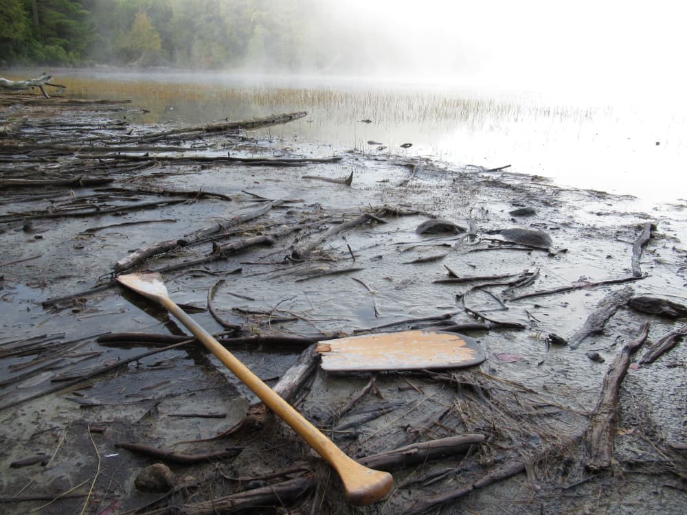 Broken Canoe Paddle