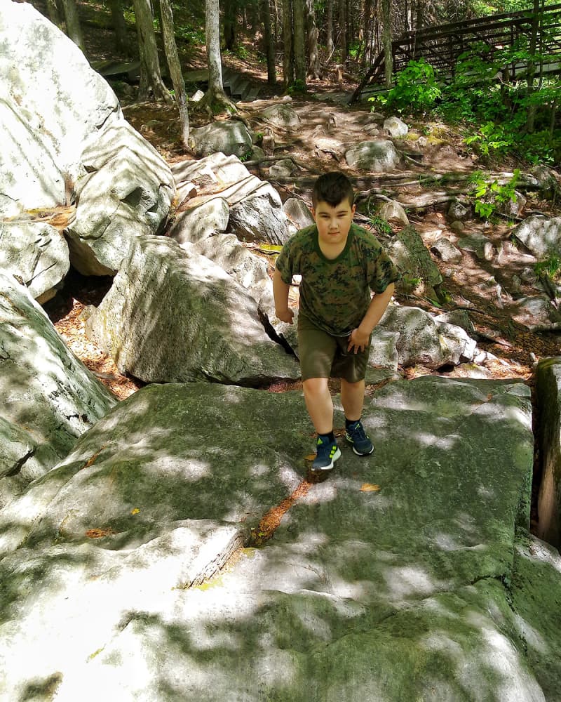 The boy hiking through a trail in the forest.